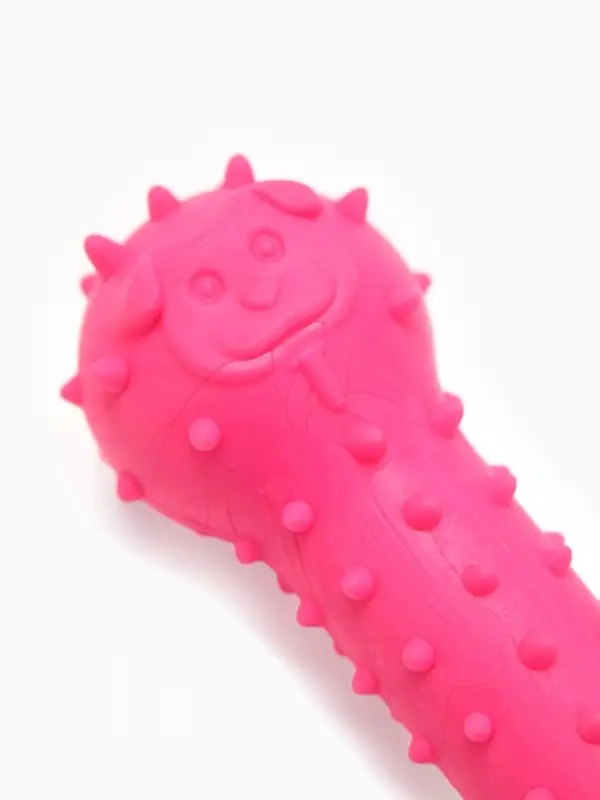 Игрушка-дразнилка для собак &laquo;Поймай меня!&raquo;, 9.5 см, TPR, розовая