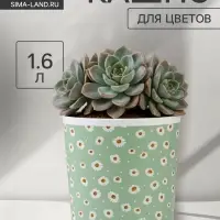 Кашпо для цветов &laquo;Ромашки&raquo;, 1.6 л, d=14 см, h=14 см, пластиковое