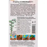 Семена огурца "12 месяцев", F1, 10 шт.