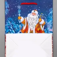 Пакет подарочный новогодний ламинированный, &laquo;Новогодний набор &raquo;, 18&times;10&times;22.3 см