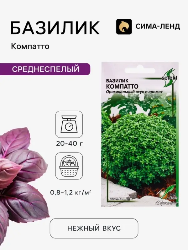 Семена Базилик &laquo;Компатто&raquo;, 210 шт., &laquo;Дом семян&raquo;