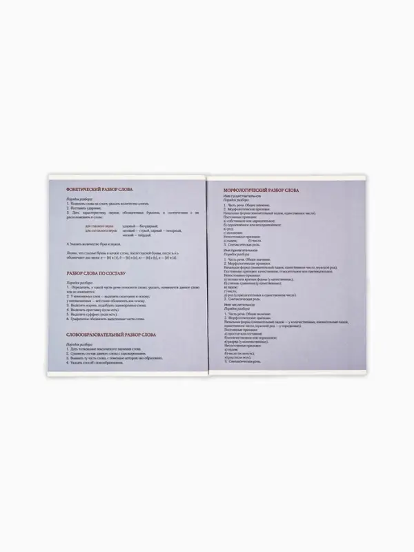 Тетрадь в линейку, предметная, 48 л.,на скрепке, А5 &laquo;Мемы. Русский язык&raquo;