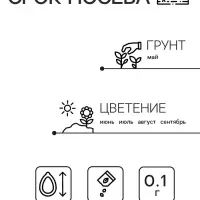 Семена Амарант Хвостатый зеленый 0.1г* Семена Амарант Хвостатый зеленый 0.1г*