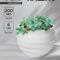 Кашпо для цветов Layer, 200 мл, d=7.5 см, h=6 см, пластиковое, белое
