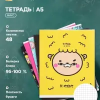 Тетрадь 48 листов в клетку, Calligrata, K-POP, МИКС