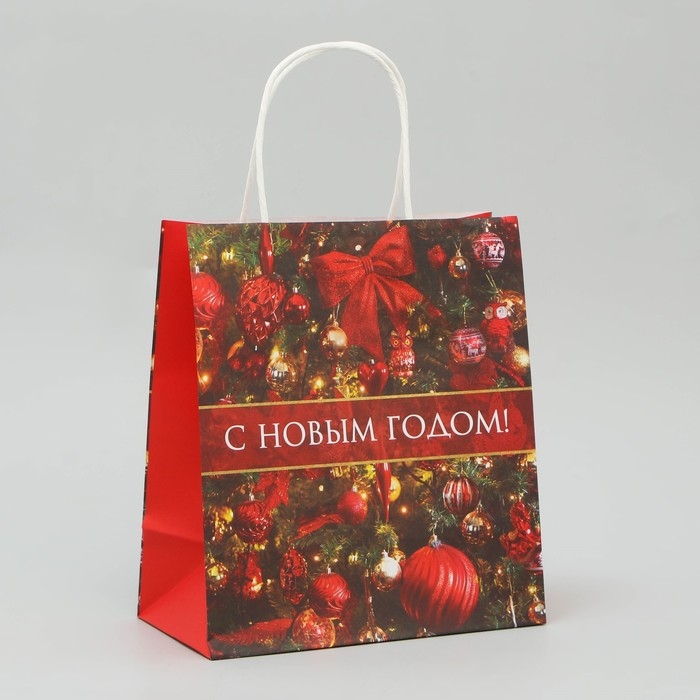 Пакет подарочный новогодний крафтовый «С Новым годом!», 22 х 25 х 12 см, Новый год Пакет подарочный новогодний крафтовый «С Новым годом!», 22 х 25 х 12 см, Новый год