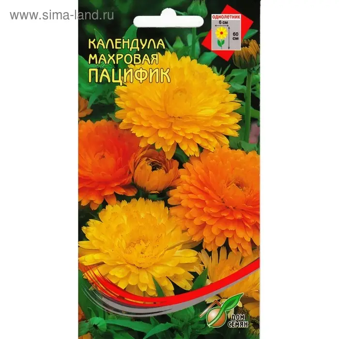 Семена цветов Календула  Семена цветов Календула "Пацифик" Дом семян, смесь, О,     20 шт