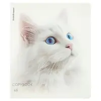 Тетрадь 48 листов в клетку ErichKrause Whiteout, 60 г/м&sup2;, обложка мелованный картон, МИКС