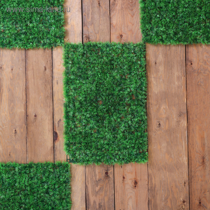 Декоративная панель, 60 × 40 см, «Аспарагус», Greengo Декоративная панель, 60 × 40 см, «Аспарагус», Greengo