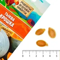 Семена Тыква мускатная "Прикубанская", 2 г