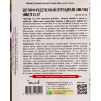 Семена Экзакум Midget Lilac родственный 10шт. 12.29 г.
