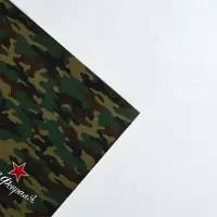 Бумага упаковочная глянцевая &laquo;С 23 февраля&raquo;, 70&times;100 см