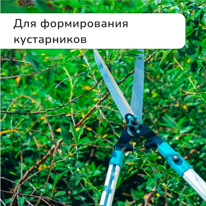 Кусторез, 31&minus;44.5" (79&minus;113 см), телескопический, с металлическими ручками, Greengo