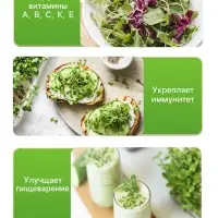Семена Микрозелень Руккола, 5 г, &laquo;Рецепты дедушки Никиты&raquo;