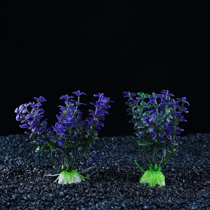 Набор растений для аквариума и террариума - 2 шт., 10 см