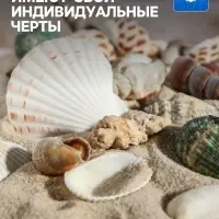 Набор ракушек Пижон Аква 100 г, микс №1