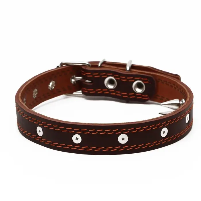Ошейник &laquo;Строгий шип&raquo;, 56&times;2.5 см, ОШ 35-45 см, кожа, коричневый