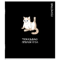 Тетрадь предметнaя ГЕОМЕТРИЯ 'КОТЫ МЕМЫ' 48 л., А5+,клетка, справ.инф/69821