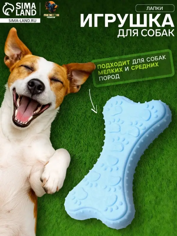 Плавающая игрушка для собак Пижон Premium &laquo;Лапки&raquo;, 10.5&times;5.5&times;2 см, вспененный TPR, голубая