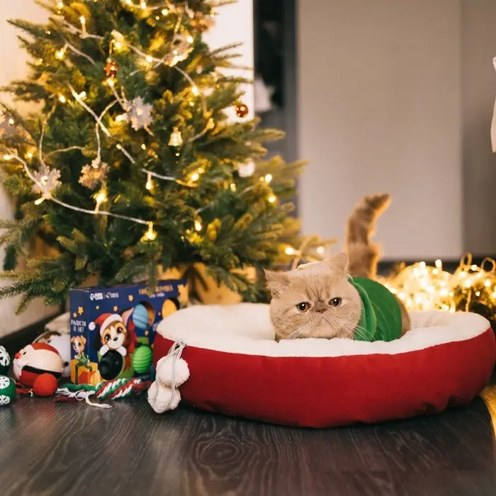 Лежанка &laquo;Снежок&raquo;, 56&times;46&times;13 см, красная