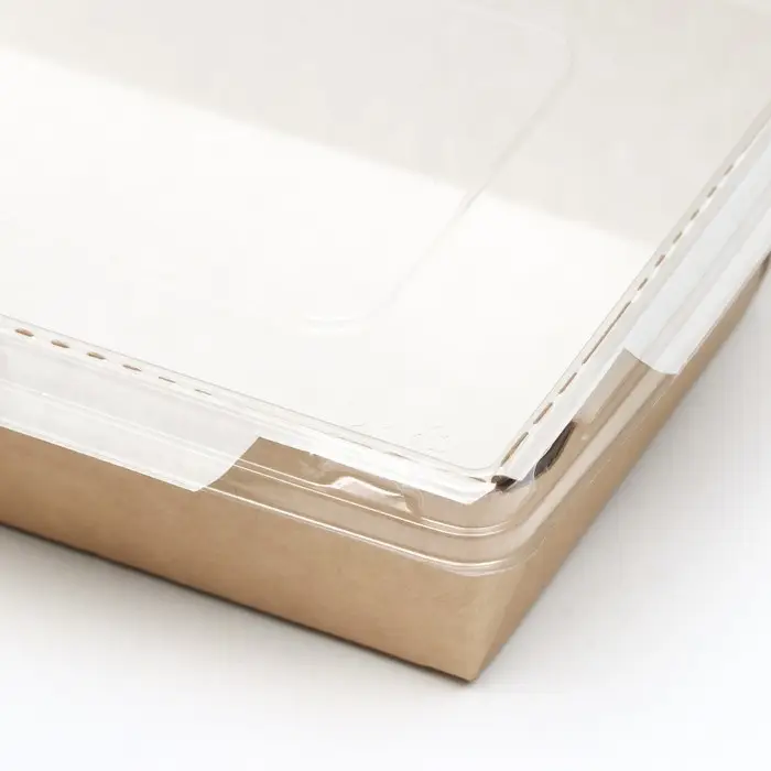 Контейнер с плоской крышкой, крафт, 0,8 л, 19 х 13 х 5,5 см Контейнер с плоской крышкой, крафт, 0,8 л, 19 х 13 х 5,5 см