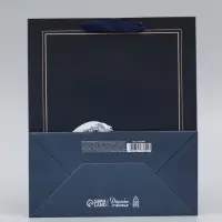 Пакет подарочный ламинированный, упаковка, &laquo;Present&raquo;, ML 23&times;27&times;11.5 см