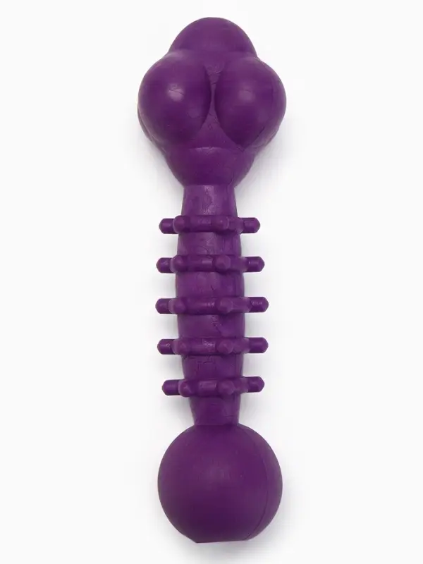 Жевательная игрушка для собак &laquo;Спортсмен&raquo;, 15.5 см, TPR, фиолетовая