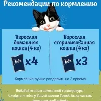 Влажный корм Felix Природа вкуса для кошек, лосось, 75 г