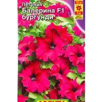 Семена цветов Петуния Балерина бургунди крупноцветковая F1 (драже) С. Farao, Ц/П,7 шт. Семена цветов Петуния Балерина бургунди крупноцветковая F1 (драже) С. Farao, Ц/П,7 шт.