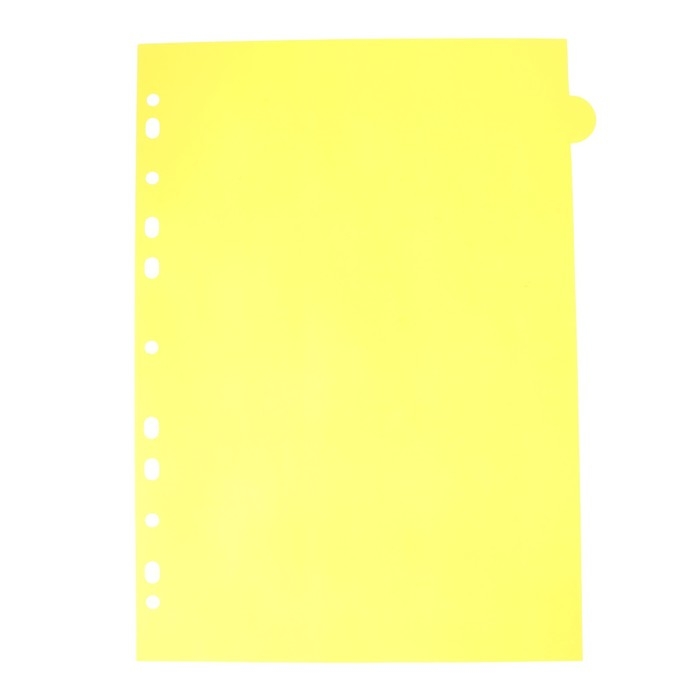 Разделитель листов A4 (245 x 305 мм), цветовой, 12 листов, Разделитель листов A4 (245 x 305 мм), цветовой, 12 листов, "deVENTE. Pastel", полипропилен 140 мкм, индивидуальная упаковка