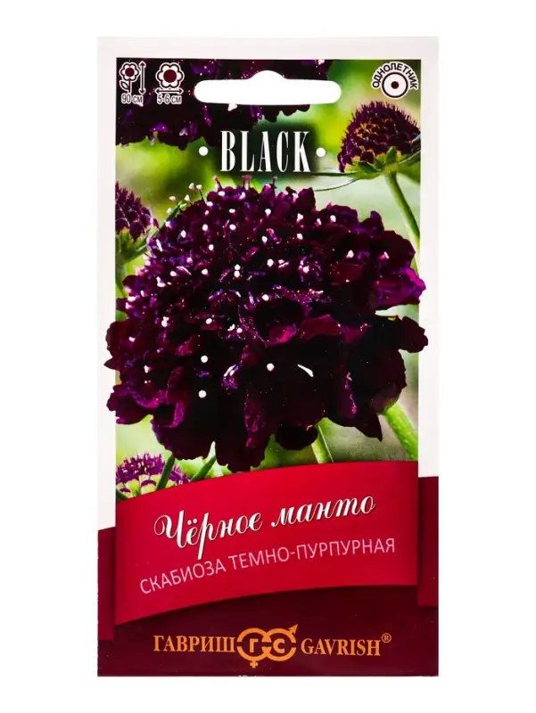 Семена цветов Скабиоза пурпурная Чёрное манто, махр. 0,2 г серия Блэк DH