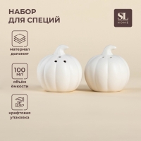 Набор для специй SL Home «Осенний бриз», баночка 100 мл, 7×7×7 см, белый