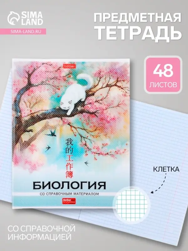 Предметная тетрадь по биологии Hatber &laquo;Искусство Азии&raquo;, 48 листов, в клетку, со справочным материалом, пластиковая обложка с печатью