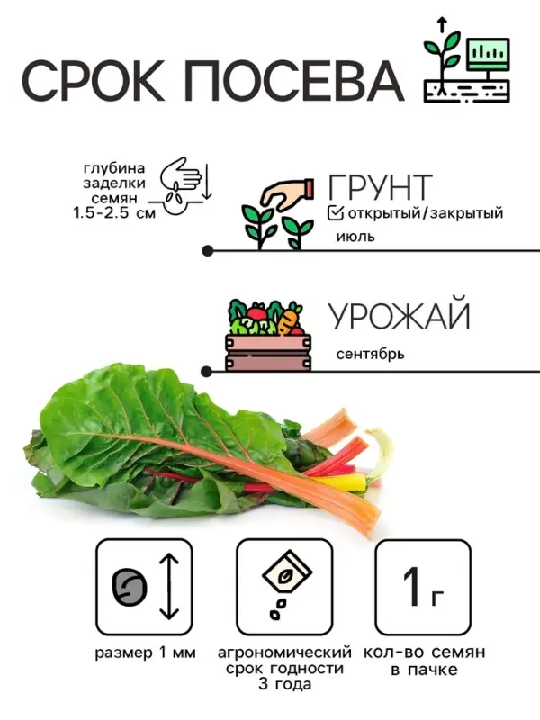 Семена Мангольд  Семена Мангольд "Павлиний хвост", смесь, 1 г