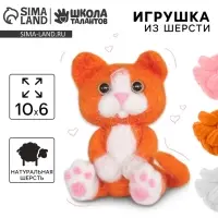 Валяние из шерсти. Игрушка &laquo;Рыжий котёнок&raquo;, набор для творчества