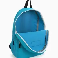 Рюкзак молодёжный на молнии, с карманом, однотонный, размер 29&times;12&times;39 см, голубой