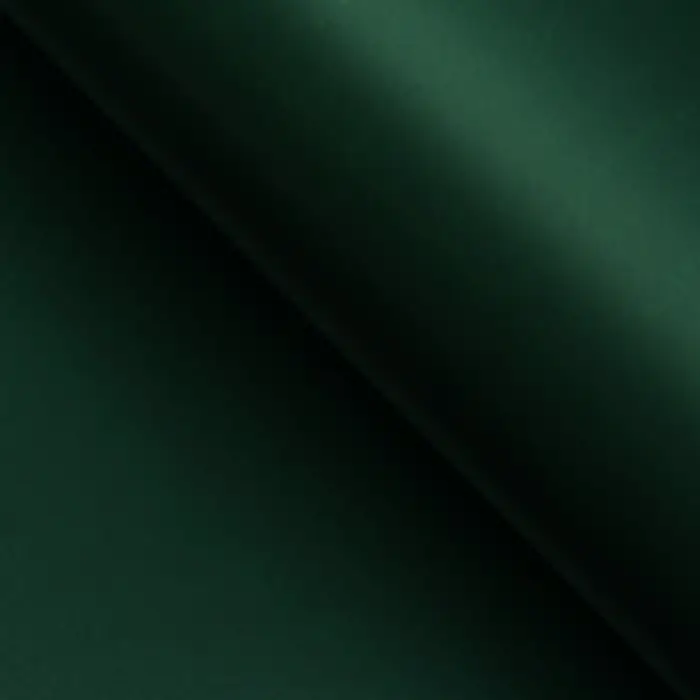 Пленка для цветов, «Золотая сторона», 57×57 см ±1 см зелёная сосна Пленка для цветов, «Золотая сторона», 57×57 см ±1 см зелёная сосна