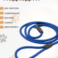 Ринговка для собак, 130&times;1 см, синяя
