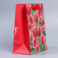Пакет подарочный крафтовый, упаковка, &laquo;8 марта&raquo;, MS 23&times;18&times;10 см