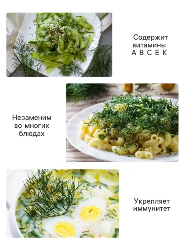 Семена Укроп &laquo;Борода монаха&raquo;, 3 г, &laquo;Агрофирма АЭЛИТА&raquo;