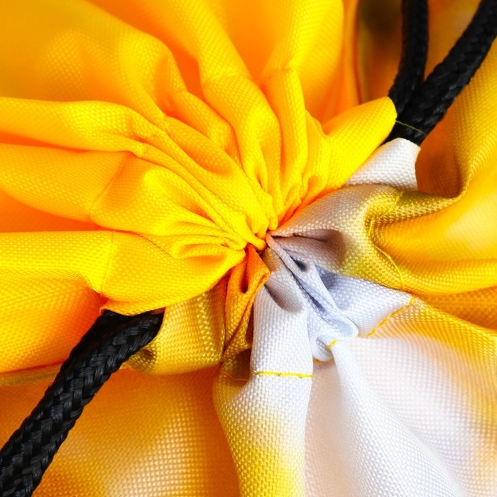 Мешок для обуви «Забавный корги» 2 секции, 30×40 см Мешок для обуви «Забавный корги» 2 секции, 30×40 см