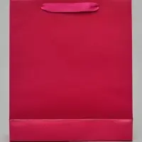 Пакет подарочный &laquo;Подарок&raquo;, голография, М 26&times;30&times;9 см