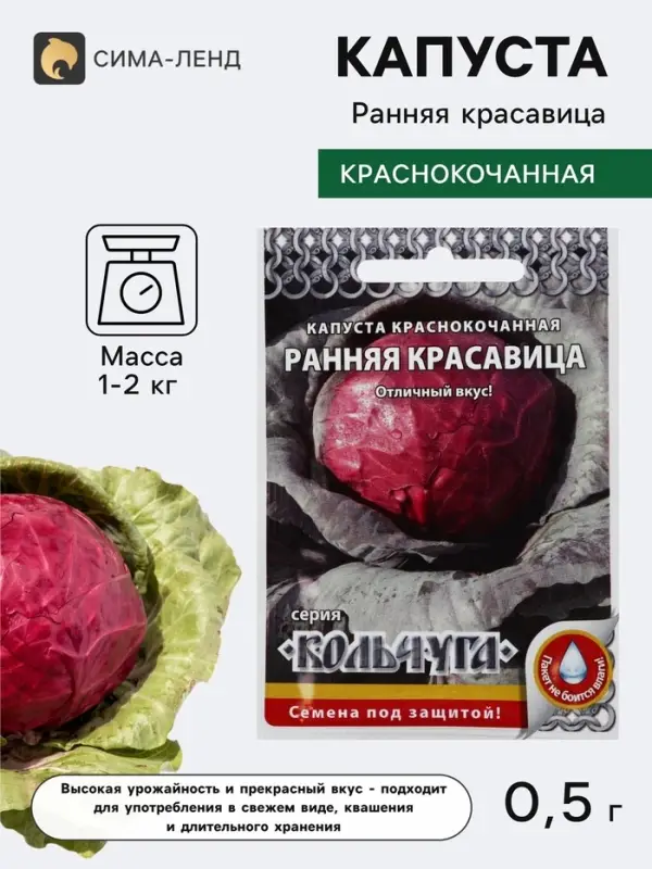 Семена Капуста краснокочанная &laquo;Ранняя красавица&raquo;, 0.5 г, &laquo;Русский огород&raquo;