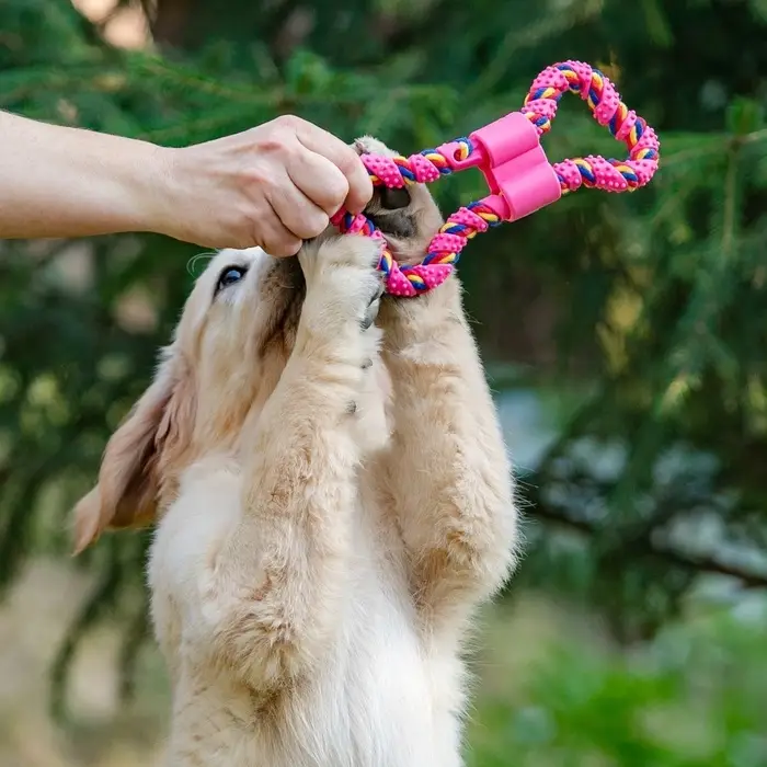 Игрушка витая из резины и каната &laquo;Мегакость&raquo;, 19.5 см, розовая