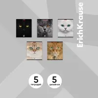 Тетрадь 96 листов в клетку ErichKrause Cats, обложка мелованный картон, матовая ламинация, выборочный УФ-лак, блок офсет 100% белизна, МИКС (1 вид в спай�...