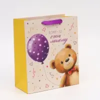 Пакет ламинированный &laquo;Мишка&raquo;, ML 23 &times; 27 &times; 11,5 см