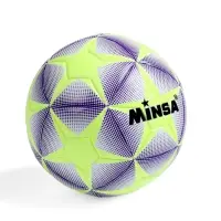 Футбольный мяч MINSA, машинная сшивка, 12 панелей, р. 5, TPE