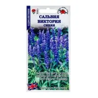 Семена цветов Сальвия "Виктория синяя",10 шт Семена цветов Сальвия "Виктория синяя",10 шт