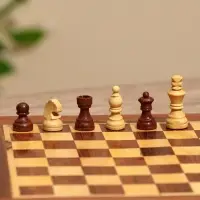 Шахматы магнитные, 20.5&times;20.5&times;3.5 см, дерево шишам