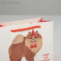 Пакет подарочный, упаковка, «Лучший подарочек», 14,5 х 19,5 х 8,5 см